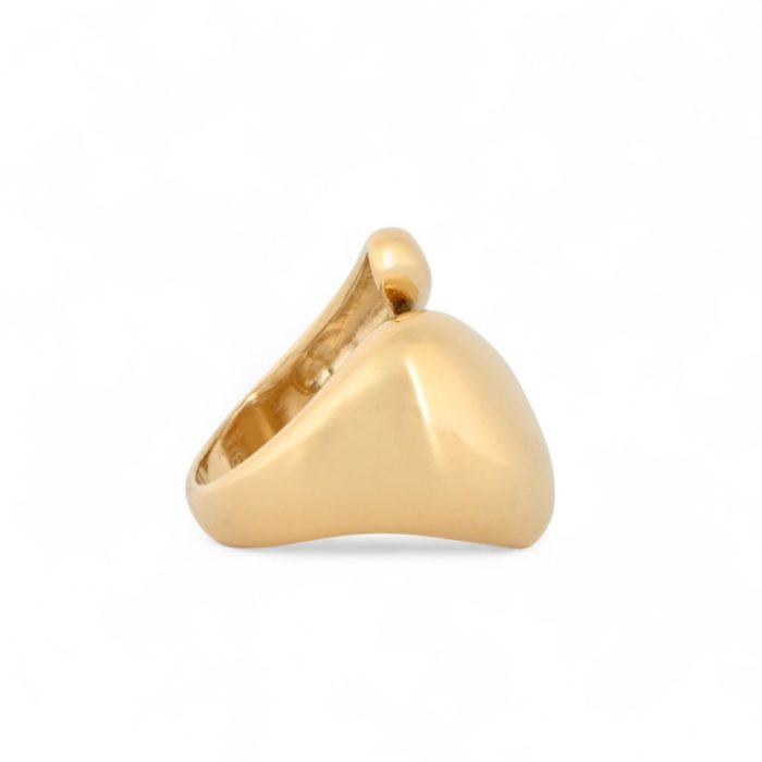 Anel em aço inoxidável gomos - Image 2